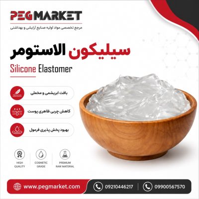 سیلیکون الاستومر