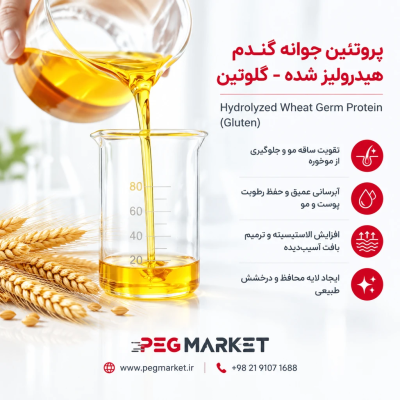 پروتئین جوانه گندم هیدرولیز شده(گلوتیتون)
