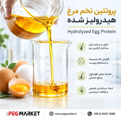 پروتئین تخم مرغ هیدرولیز شده
