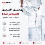 پروتئین الاستین