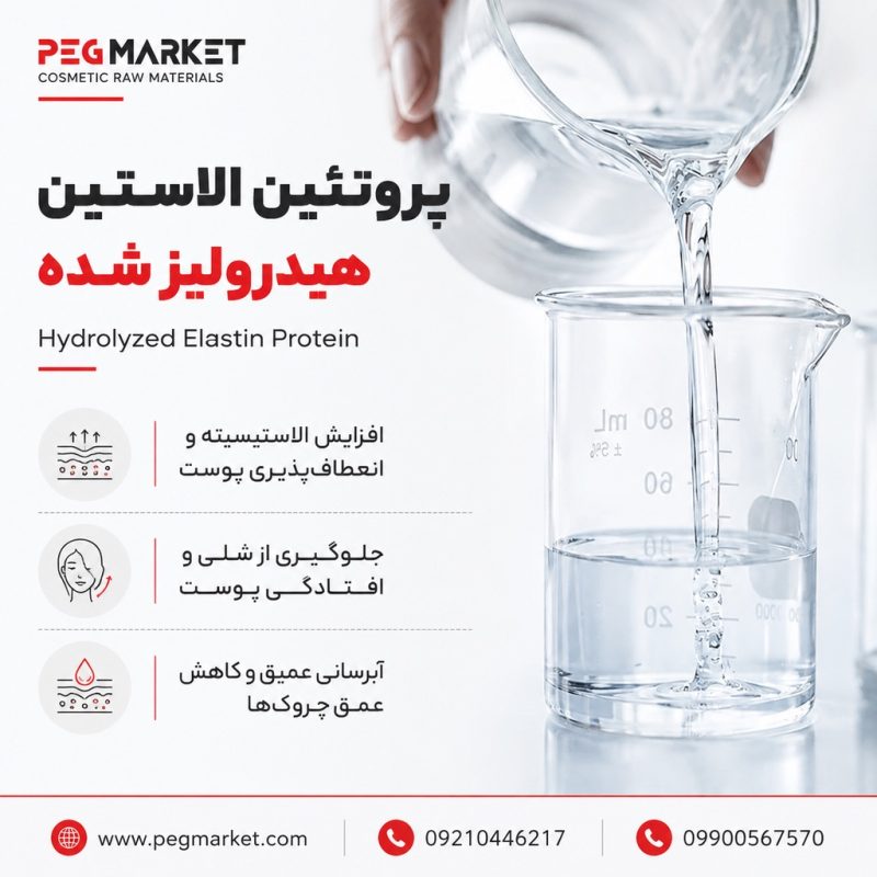 پروتئین الاستین پروتئین الاستین
